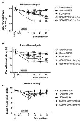 Repeated Sigma-1 Receptor Antagonist MR309 Administration Modulates Central Neuropathic Pain Development After Spinal Cord Injury in Mice